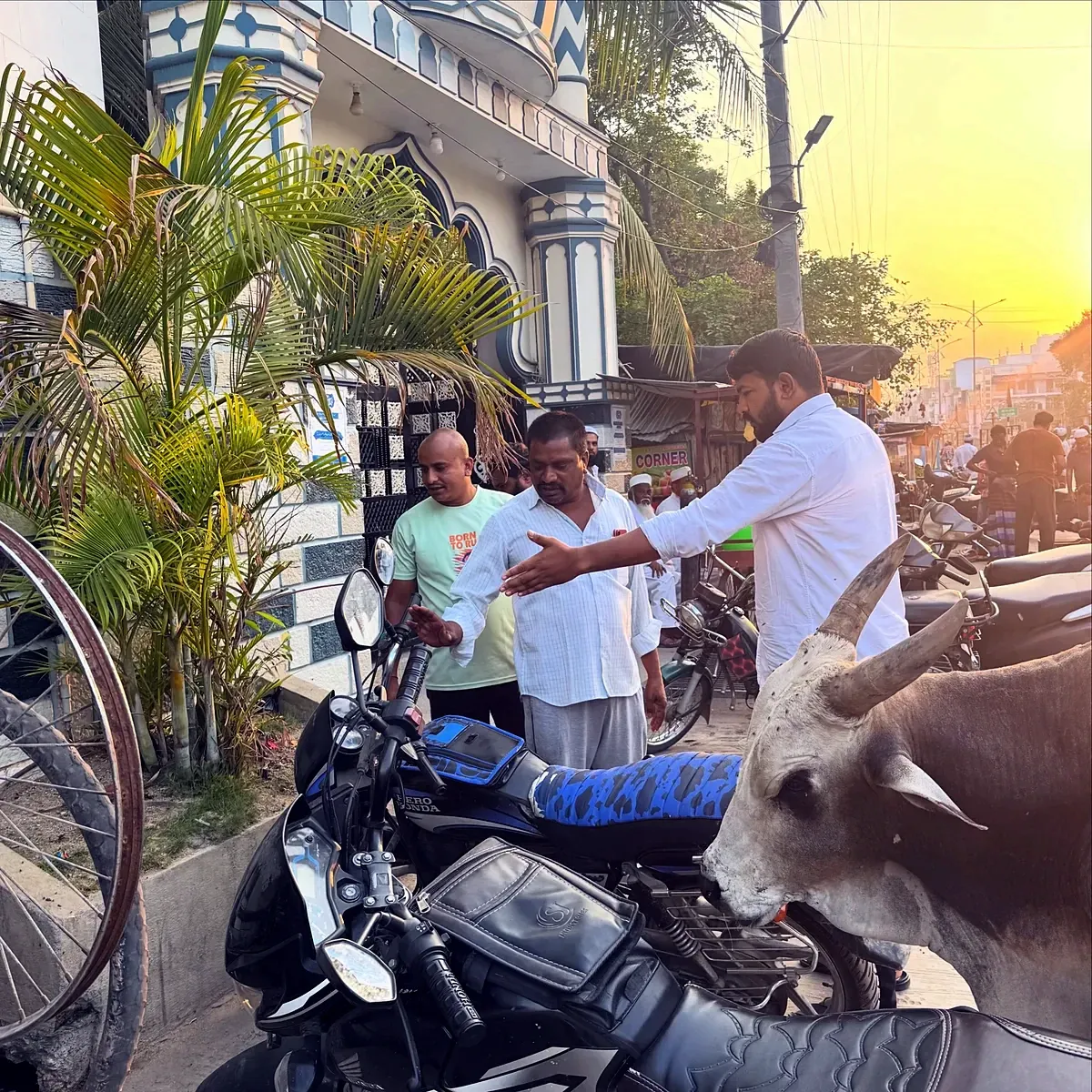 రాయచోటిలో డ్రైనేజీ పరిశీలన